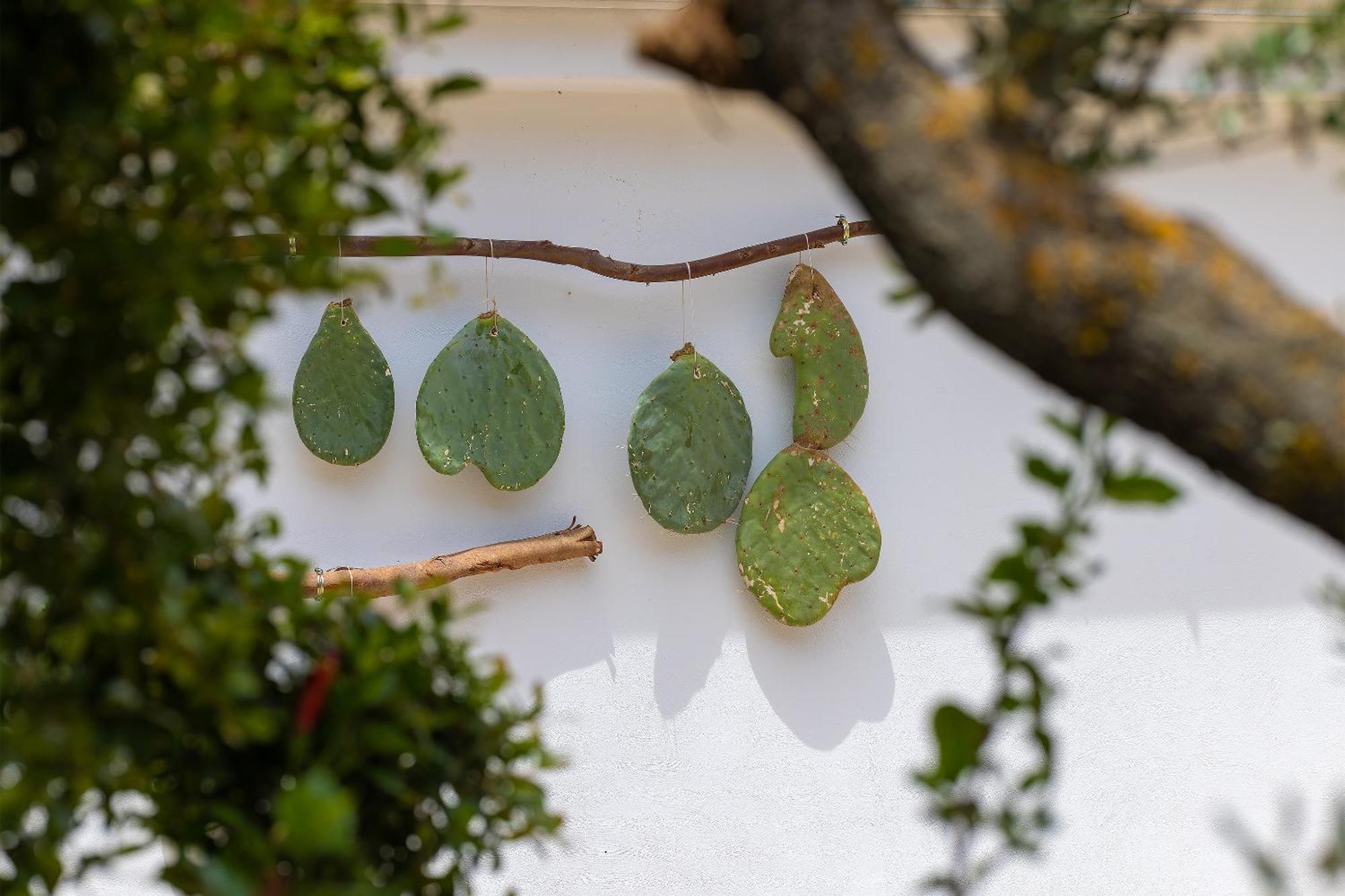 Hotel Masseria Fontanelle Ugento