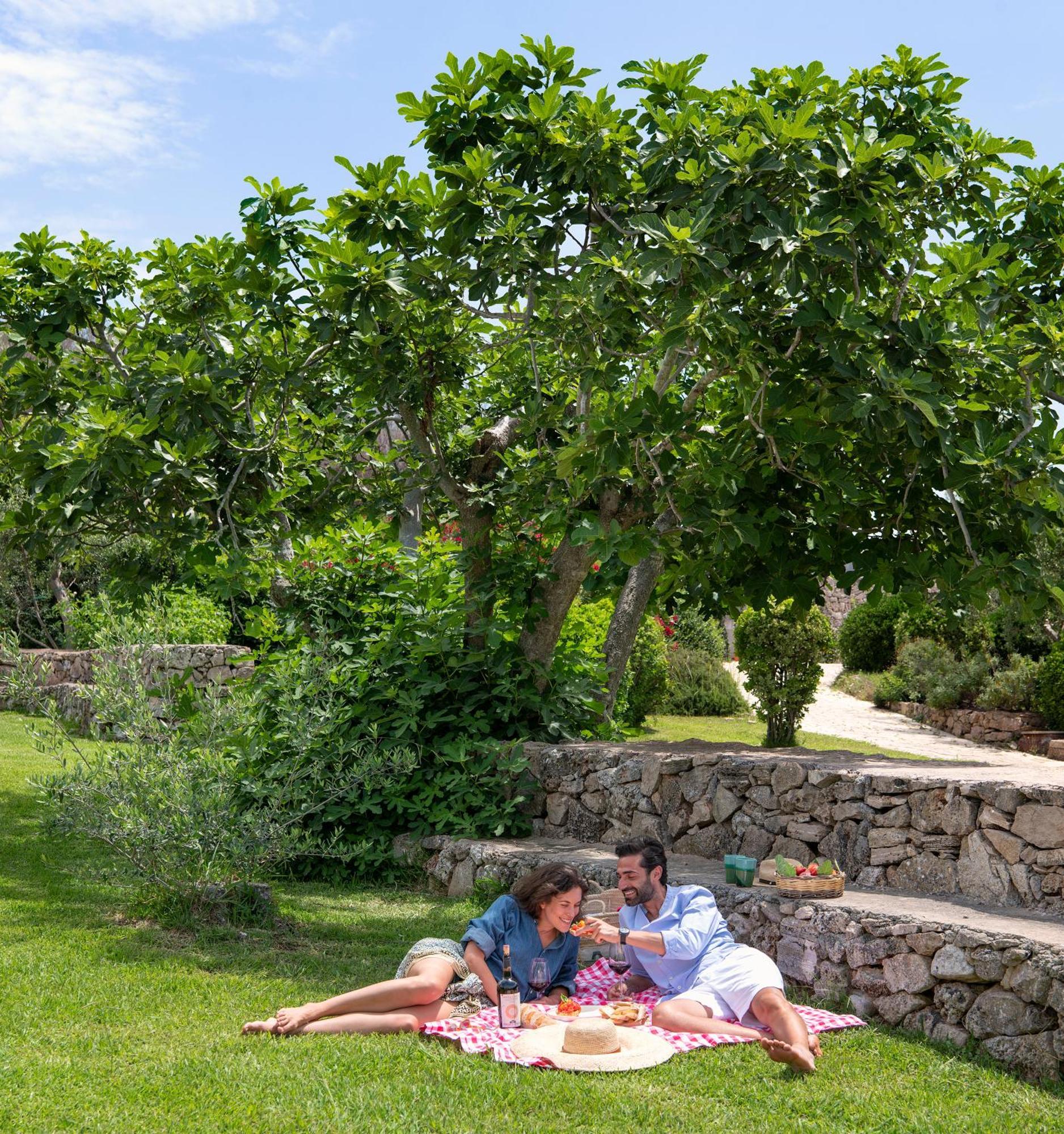 Masseria Fontanelle Hotel Ugento